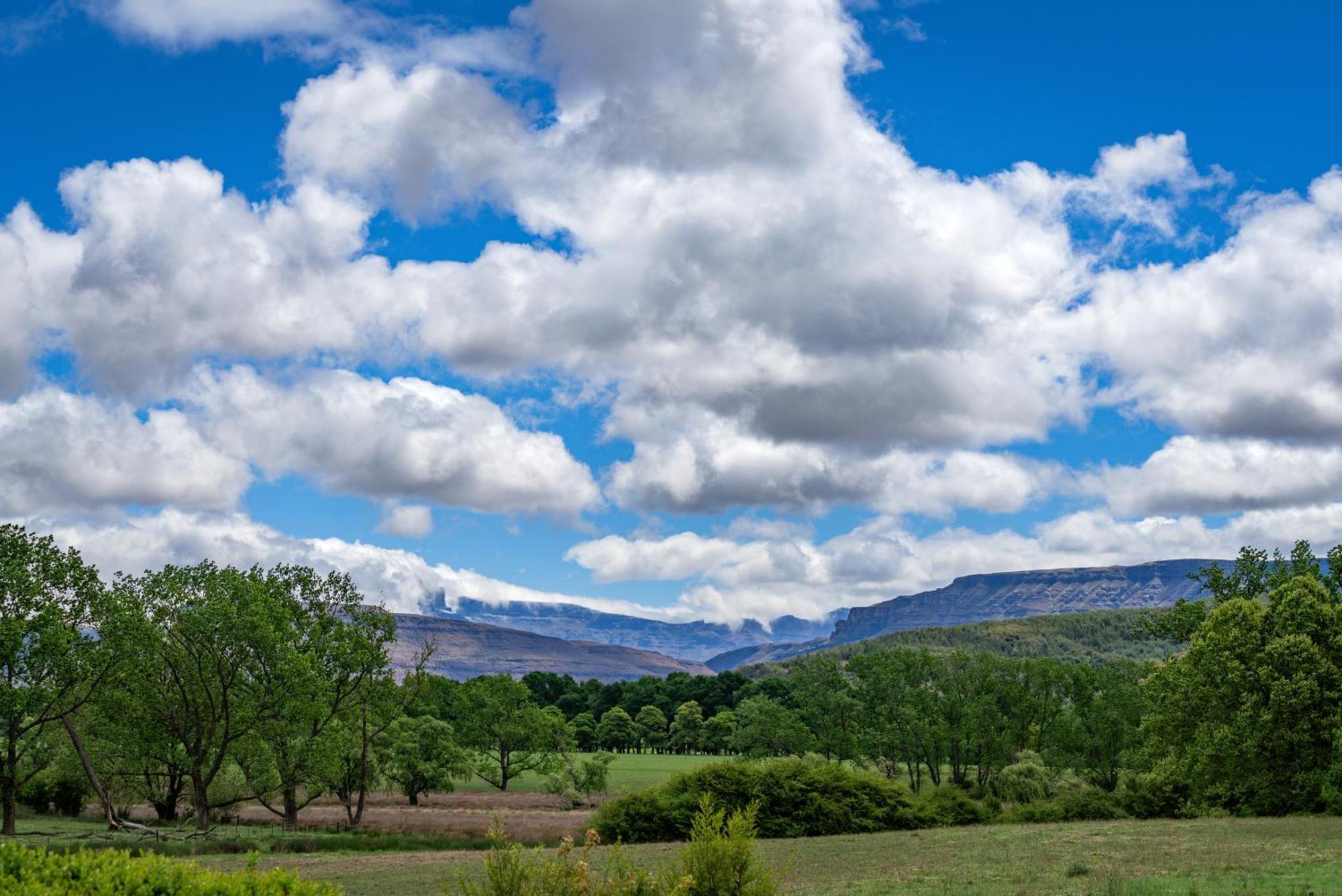 Molweni - Kamberg Valley B&B Rev Estates Экстерьер фото